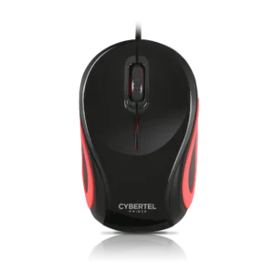 Mouse Prin