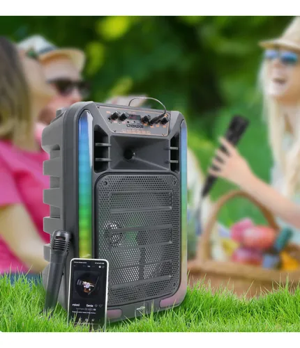 Parlante Bluetooth 12″ - Image 4