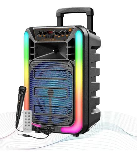 Parlante Bluetooth 12″