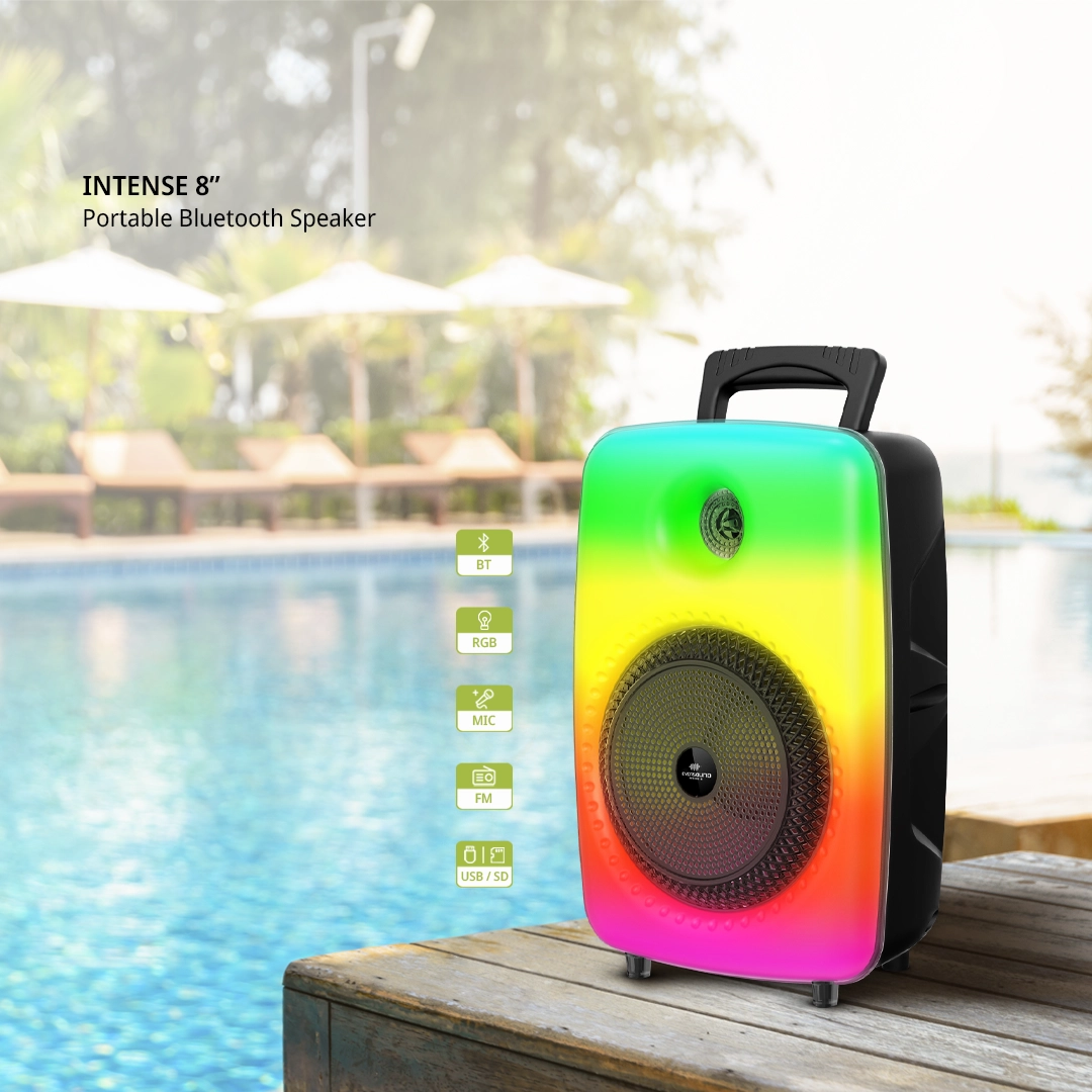 Parlante Bluetooth 8″ Int - Image 5