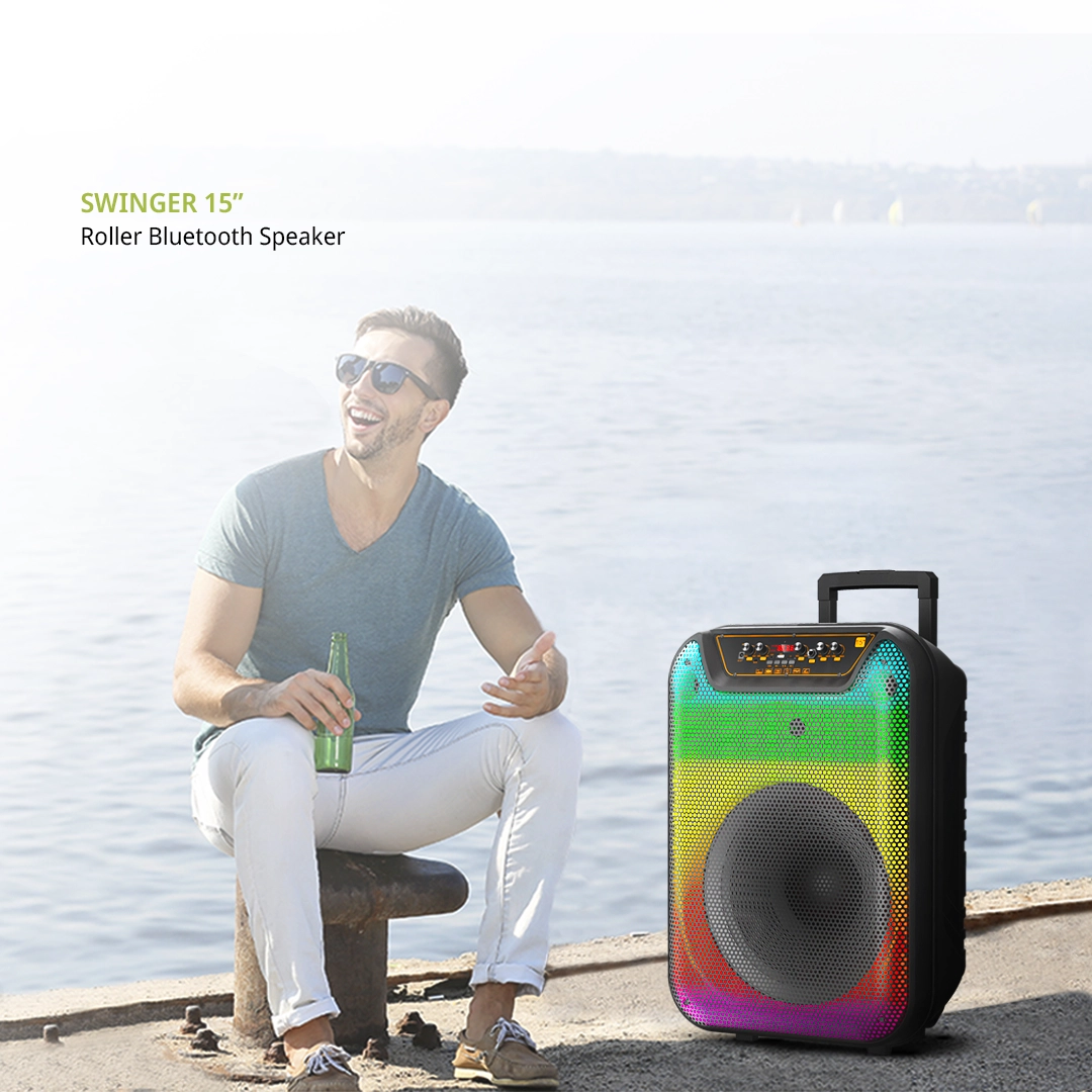 Parlante Bluetooth 15″ Swin - Image 7